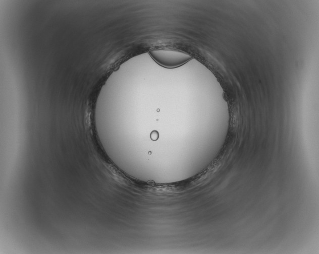 X0000112400282200908141011