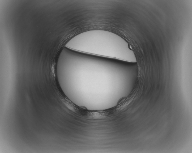 X0000112400286200908141011