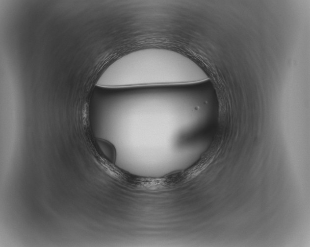 X0000112400288200908141011