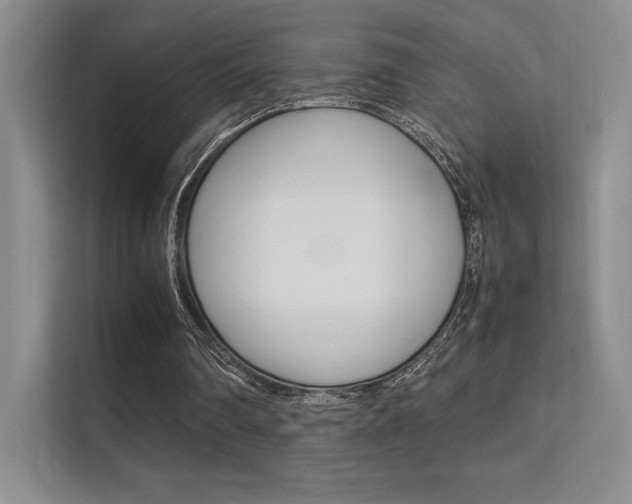 X0000112400290200908141011