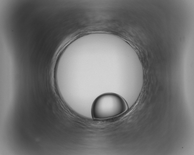 X0000112400293200908141011