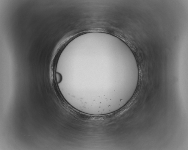 X0000112400294200908141011