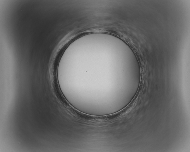 X0000112400295200908141011
