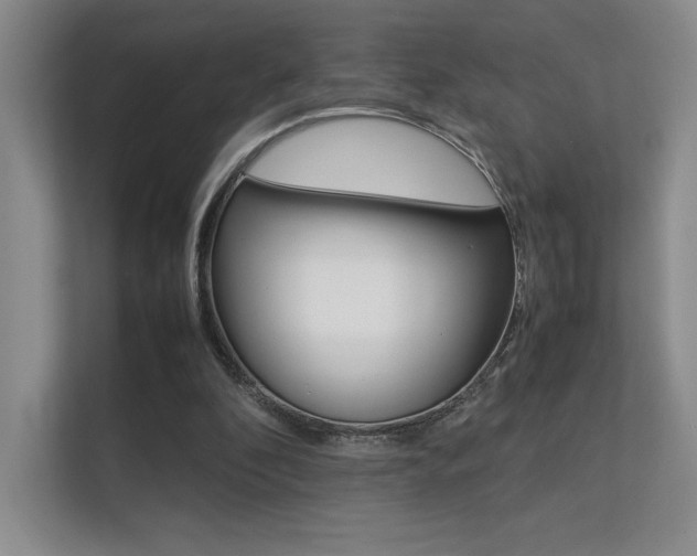 X0000112400296200908141011