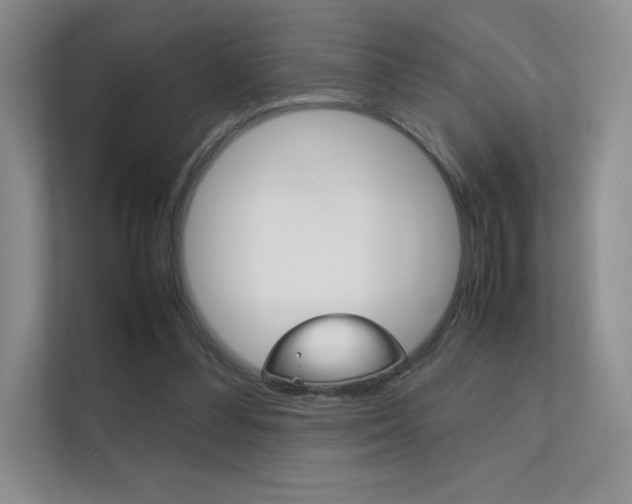 X0000112400300200908141011