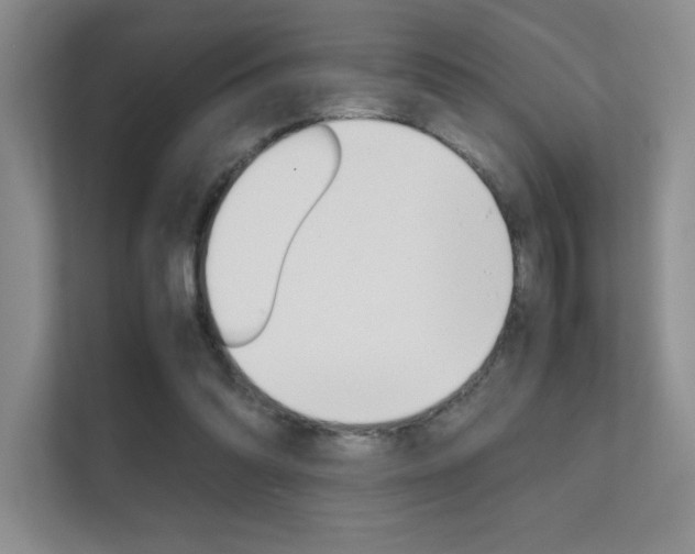 X0000112400302200908141011
