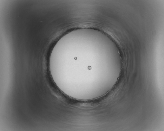 X0000112400303200908141011