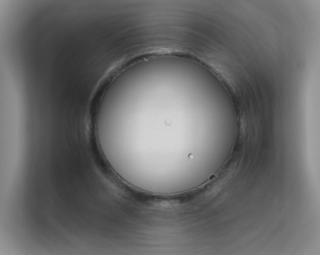 X0000112400304200908141011