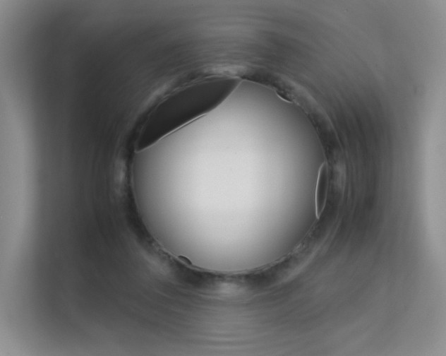 X0000112400308200908141010