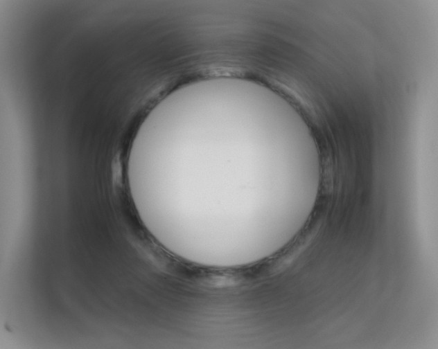 X0000112400310200908141010