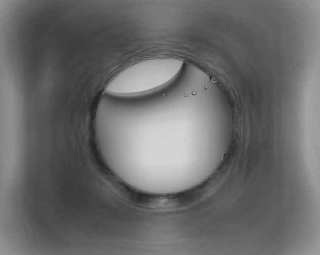 X0000112400319200908141010