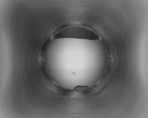 X0000112400320200908141010