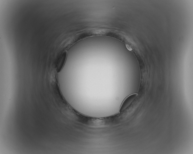 X0000112400325200908141010