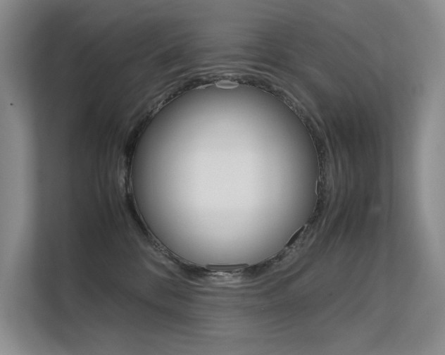 X0000112400328200908141010
