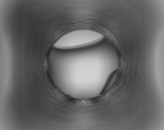X0000112400329200908141010