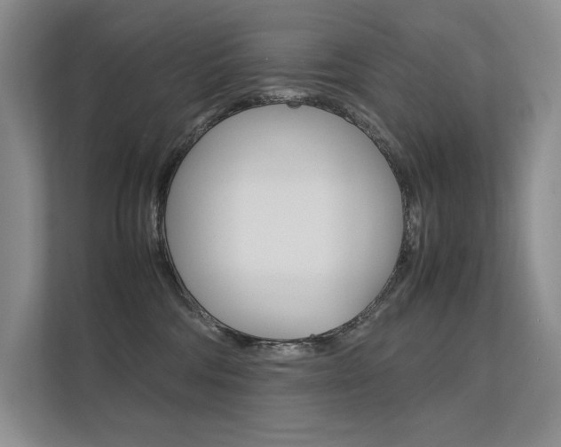 X0000112400330200908141010