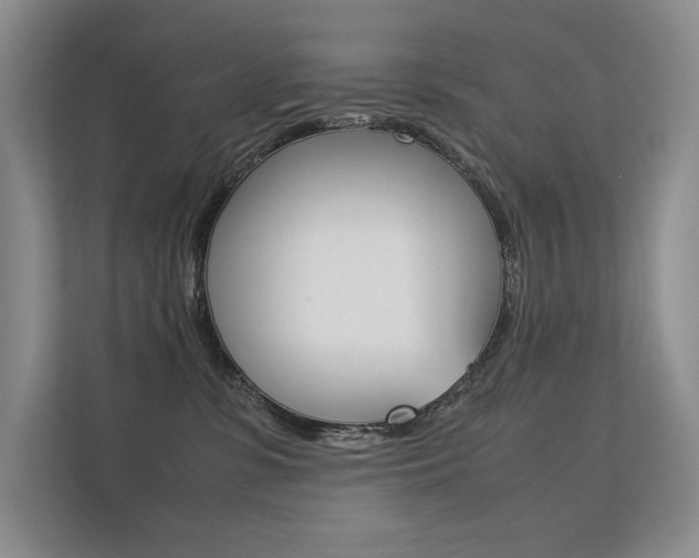 X0000112400331200908141010