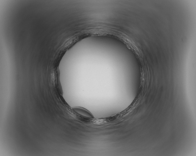 X0000112400333200908141010