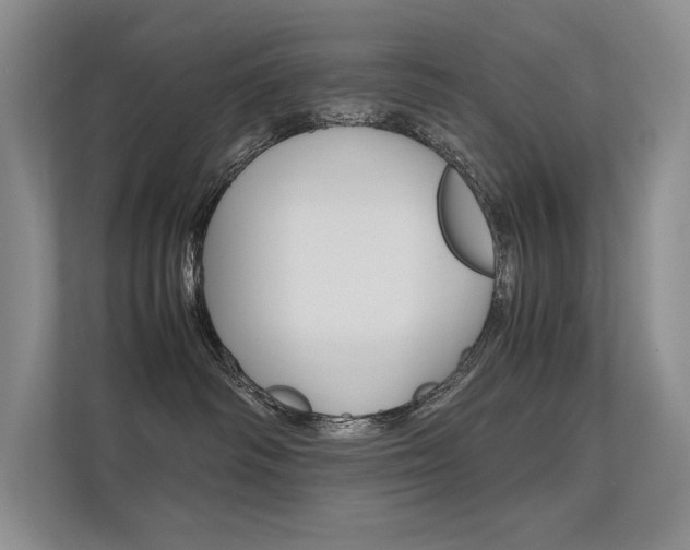 X0000112400334200908141010