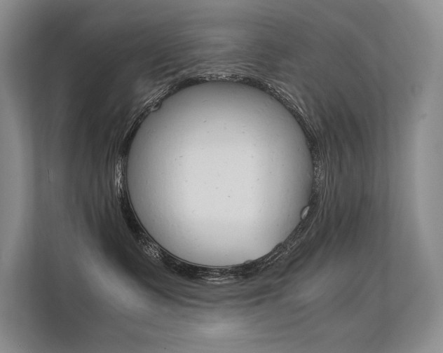 X0000112400335200908141010