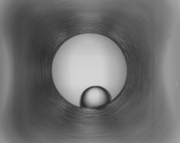 X0000112400336200908141010