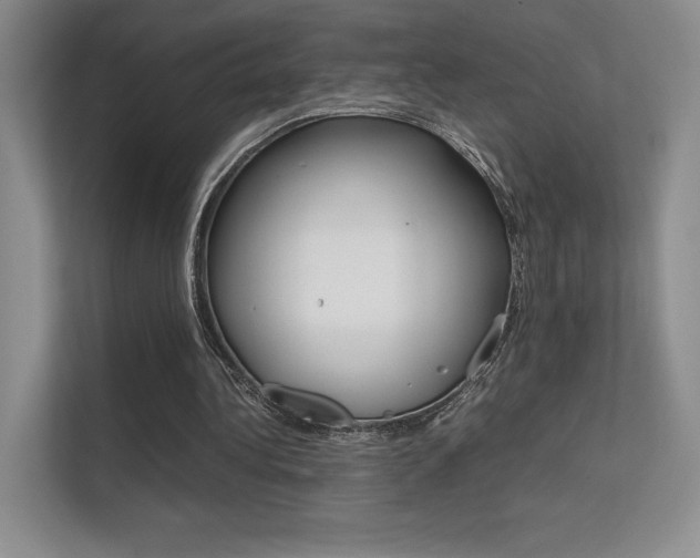 X0000112400340200908141009