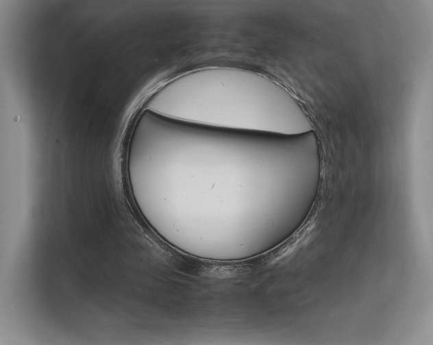 X0000112400341200908141010