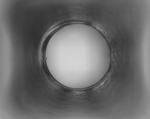X0000112400343200908141010
