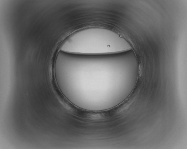 X0000112400349200908141010