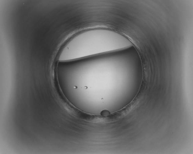 X0000112400350200908141010