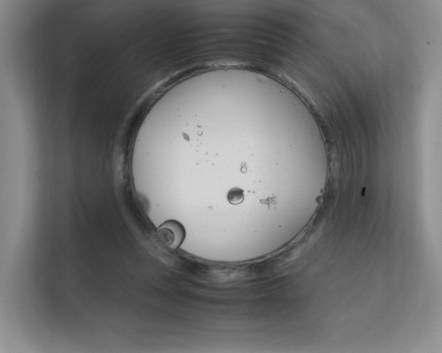 X0000112400351200908141010