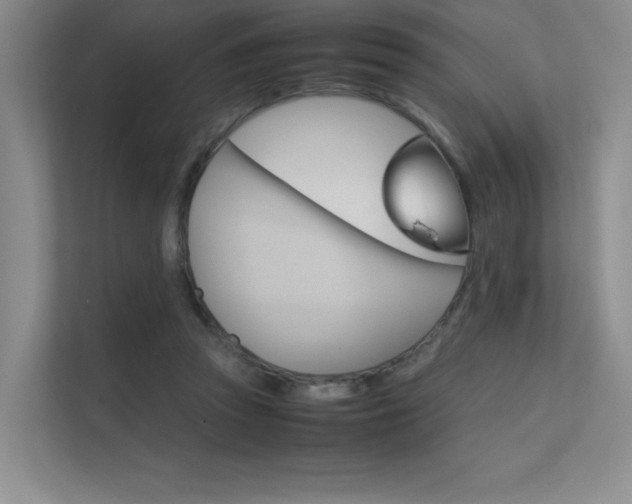 X0000112400353200908141010