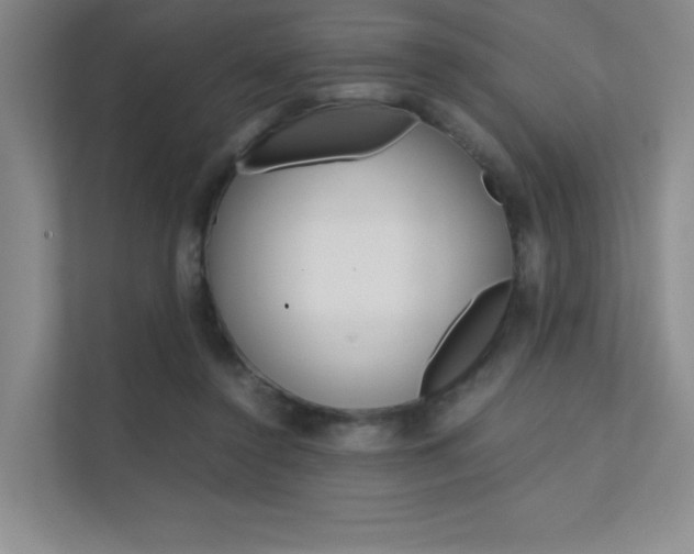 X0000112400356200908141010
