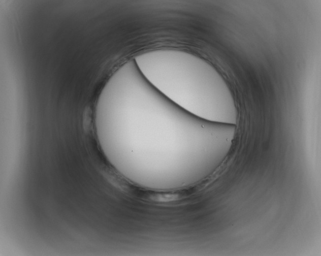 X0000112400361200908141010