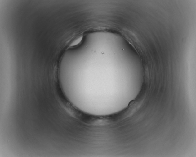 X0000112400364200908141010