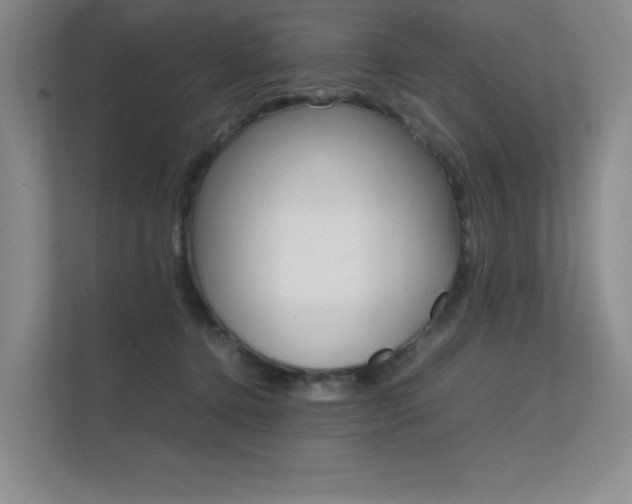 X0000112400368200908141010