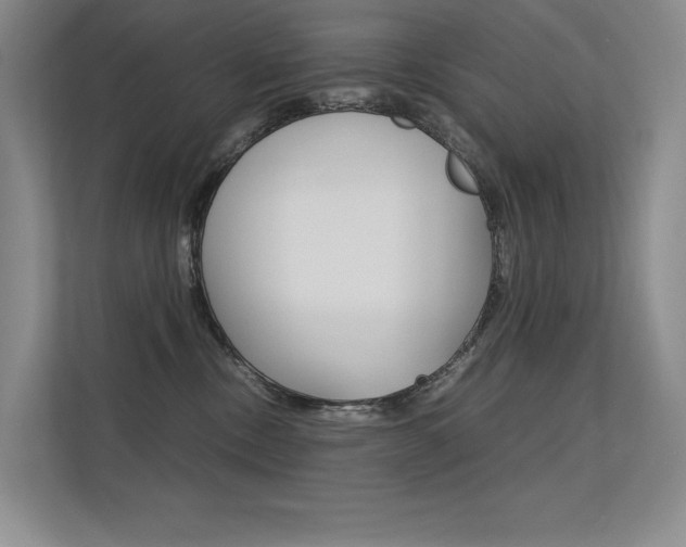 X0000112400378200908141010