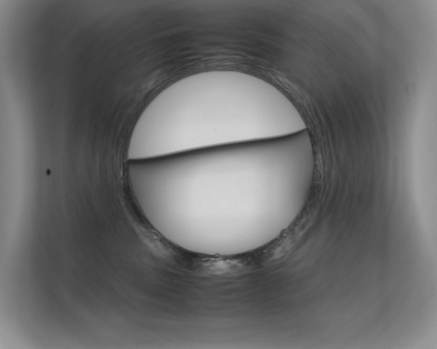 X0000112400379200908141010