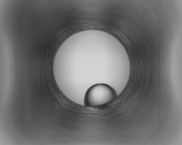 X0000112400380200908141010