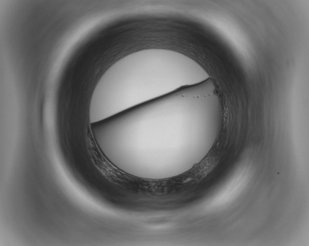 X0000112400383200908141010