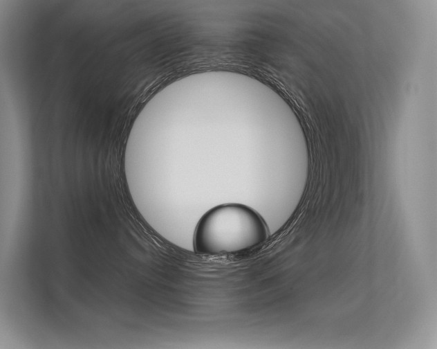X0000112400384200908141010