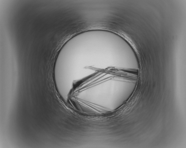 X0000112400385200908141009