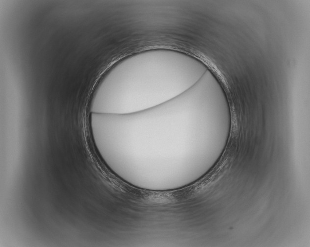 X0000112400386200908141009