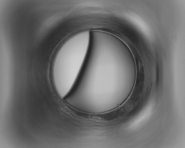 X0000112400387200908141009