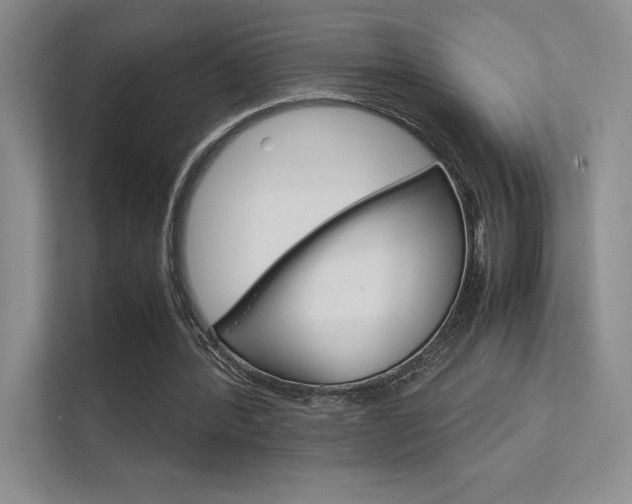 X0000112400388200908141009