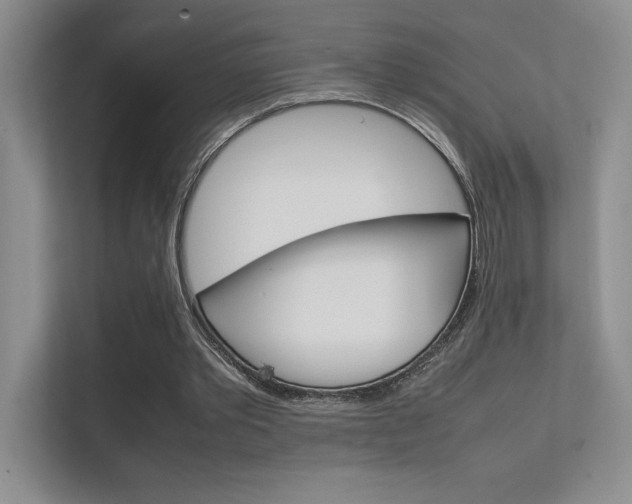 X0000112400389200908141009