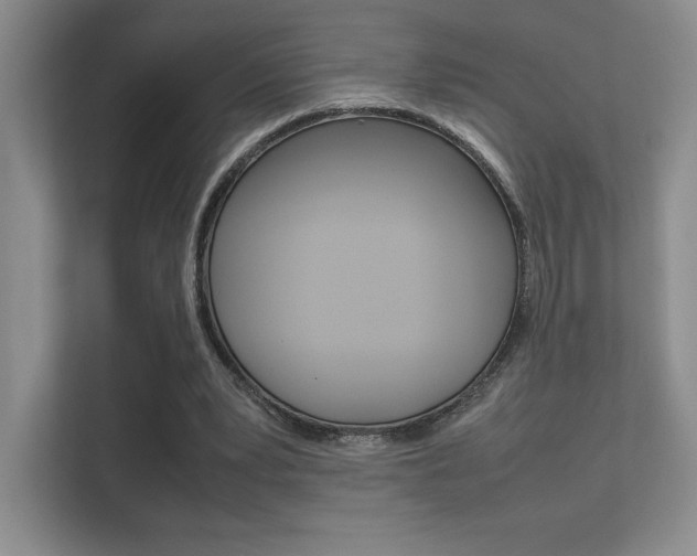 X0000112400391200908141009