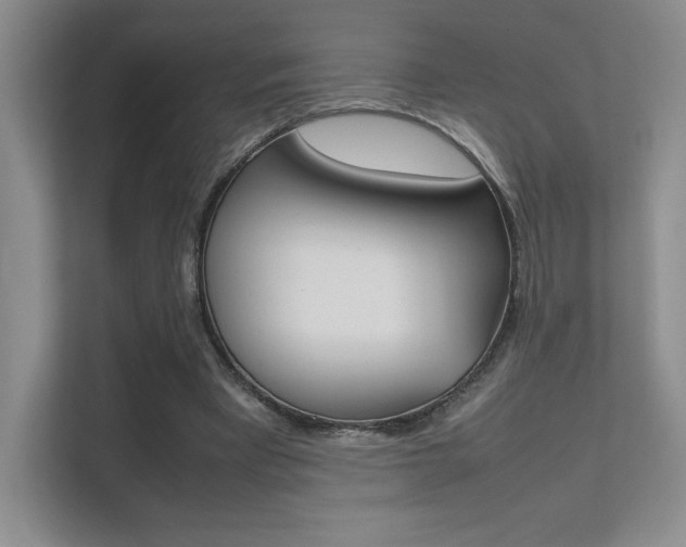 X0000112400393200908141009