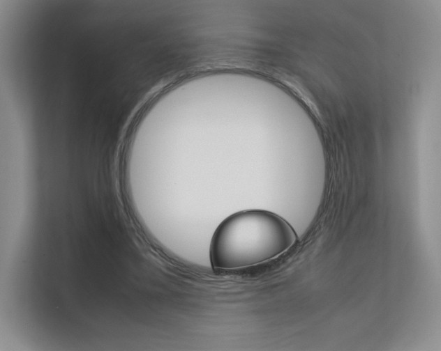 X0000112400395200908141009
