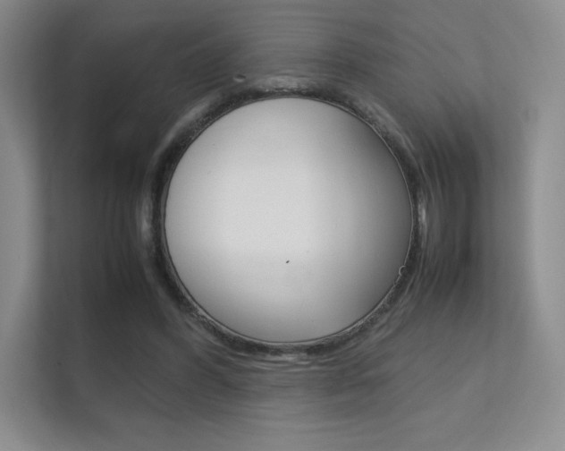 X0000112400396200908141009